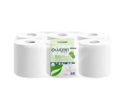 Papier Essuie-tout (Sopalin)