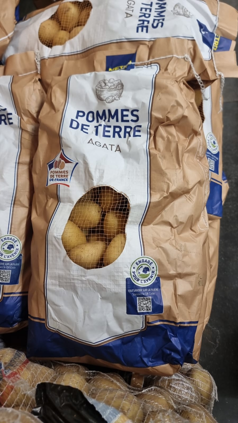 Pomme de terre